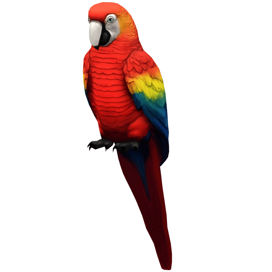 Macaw Merah Tua